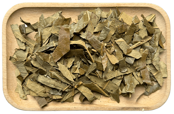 Loquat Leaf Extract