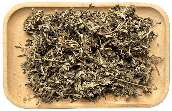 Mugwort Leaf Extract