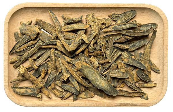 Skullcap Root Extract